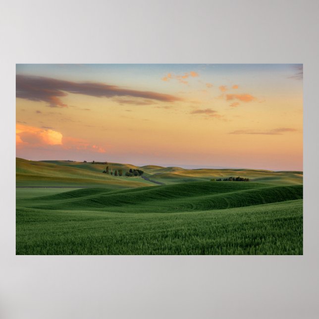 Poster Sunset sobre Campos de Trigo | Estado de Washingto (Frente)