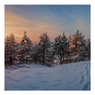 Pôster Sunset sobre floresta de neve congelada perto do m