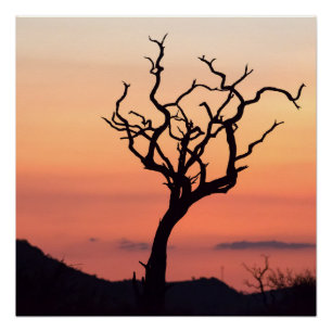 Pôster Sunset sobre Madikwe