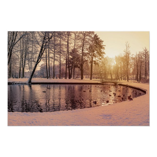 Pôster Sunset sobre parque com lago congelado pequeno (Frente)