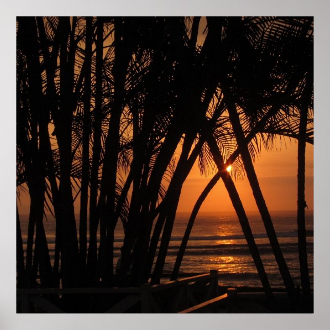 Pôster Sunset tropical (Frente)