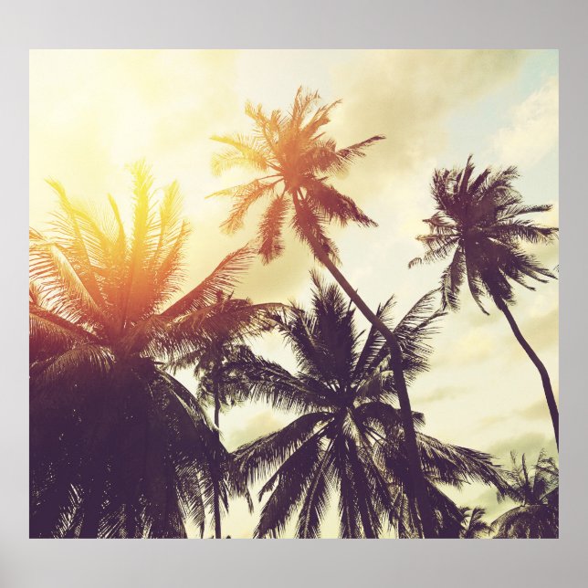 Poster Sunset tropical: Palm Silhouette Vintage (Frente)