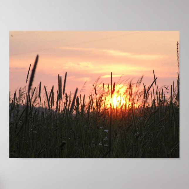 Poster Sunset - tru field (Frente)