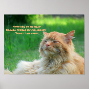Pôster Sunshine Breeze Happy Cat Haiku