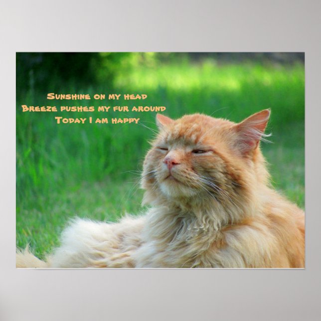Pôster Sunshine Breeze Happy Cat Haiku (Frente)