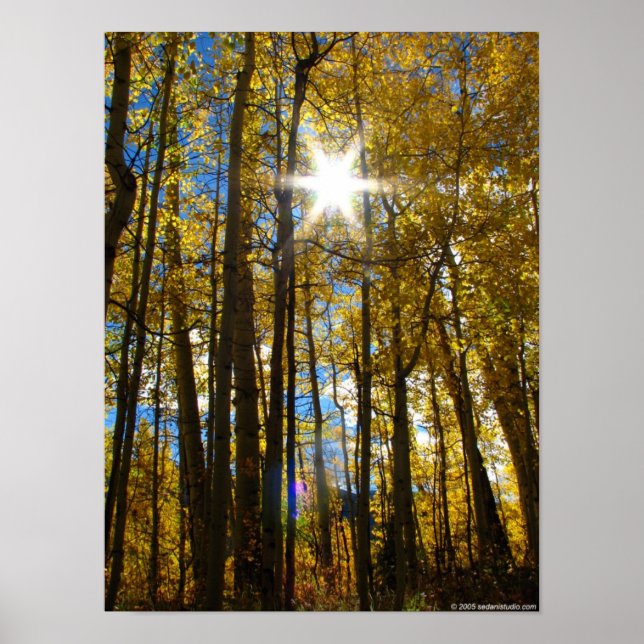 Pôster Sunstar name (Frente)