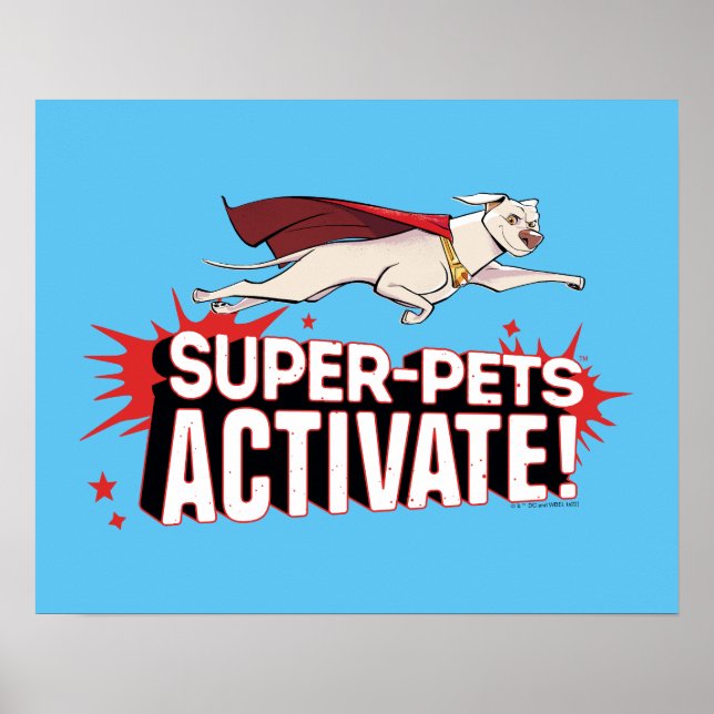 Poster Super-Animais Ativam! (Frente)