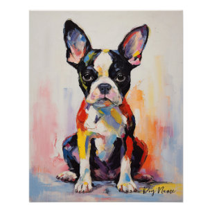 Pôster Super Cute Boston Terrier Dog Puppy 005 - Xeno Luc