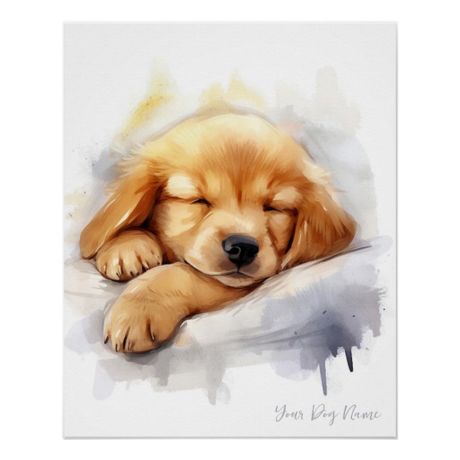 Pôster Super fofo anjo dormindo Ouro de cachorro Retrieve (Frente)