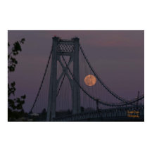 Poster Super Rosa 2021