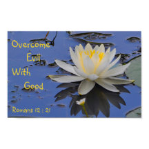 Supere o Mau com boa Lily