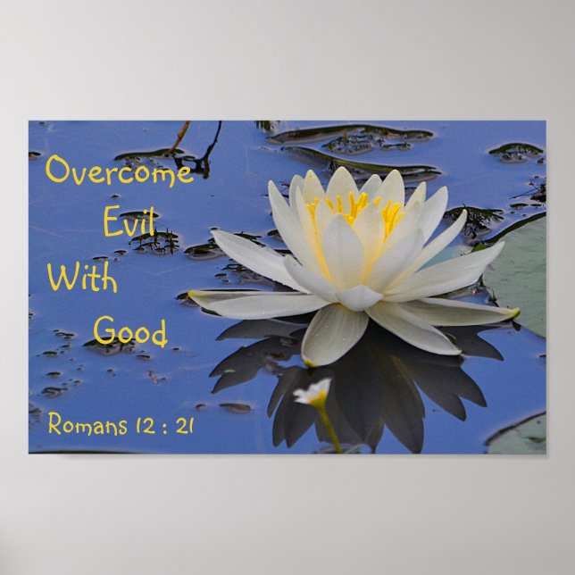 Poster Supere o Mau com boa Lily (Frente)