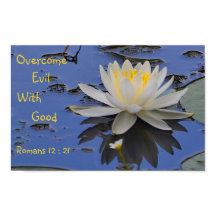 Supere o Mau com boa Lily