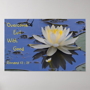 Poster Supere o Mau com boa Lily