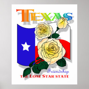 Pôster Superposter cor-de-rosa de Texas