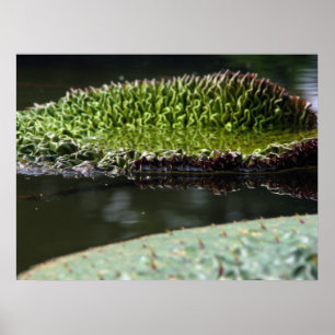 Pôster Suporte em crescimento