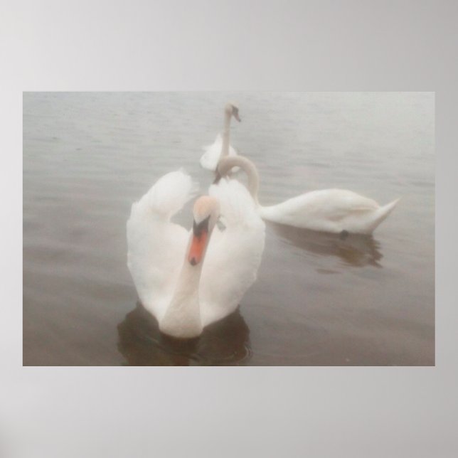 Poster Suportes De Arte Para Aquarelas Modernas Elegantes (Frente)