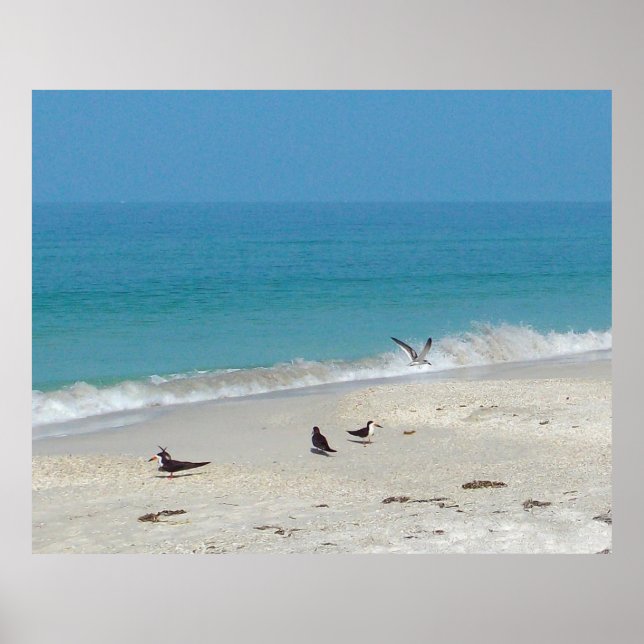 Poster Surf Hunters (Frente)