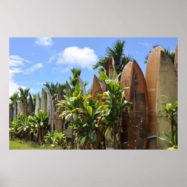 Pôster Surfboard Fence Maui, HI (Frente)