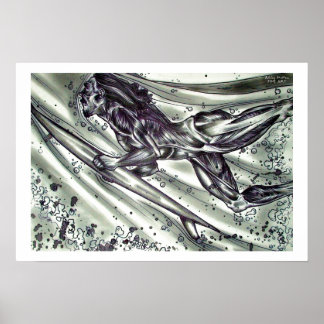 Poster Surfer no skin