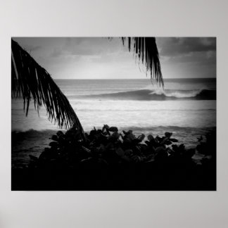 Pôster Surfistas que Conduzem Empresas B&W