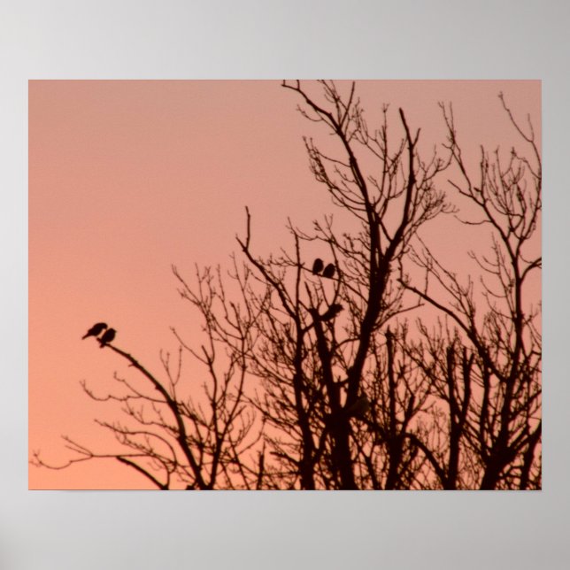 Poster - Surgimento solar (Frente)