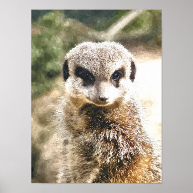 PÔSTER SURICATA (Frente)