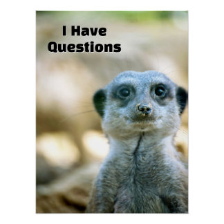 Pôster Suricata Engraçada Eu Tenho Perguntas Humor Animal