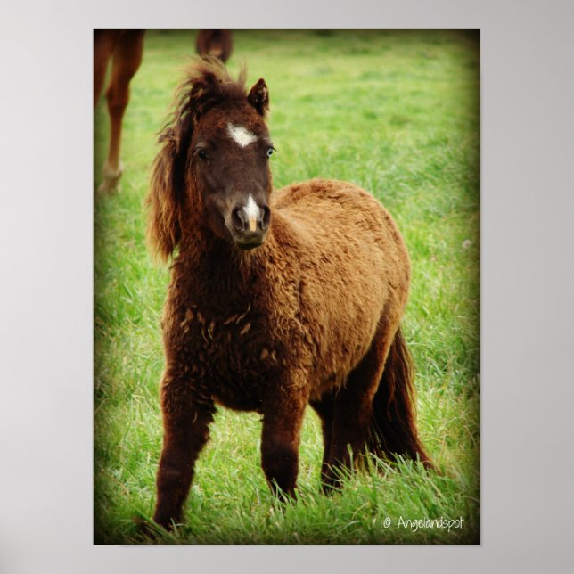 Poster Surprized Mini (Frente)