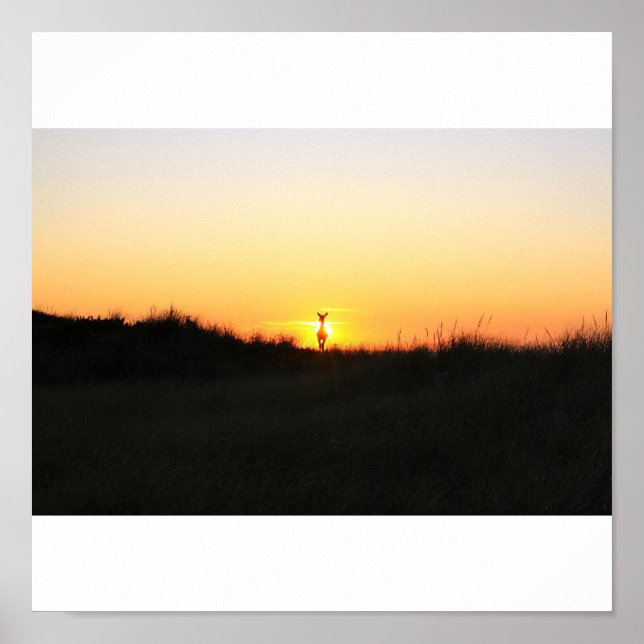 Poster Surto solar de cervo da ilha FIre (Frente)