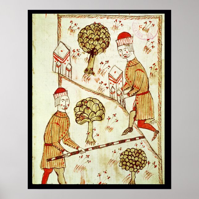 Pôster Surveying and demarcation of land (Frente)