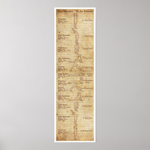 Pôster Suryanamaskara - saudação de The Sun - retrato