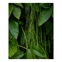 Pôster Suspended Nature