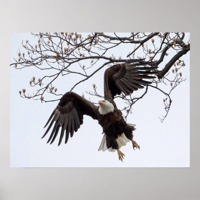 Poster Suspensão No Ar De Médio (Frente)