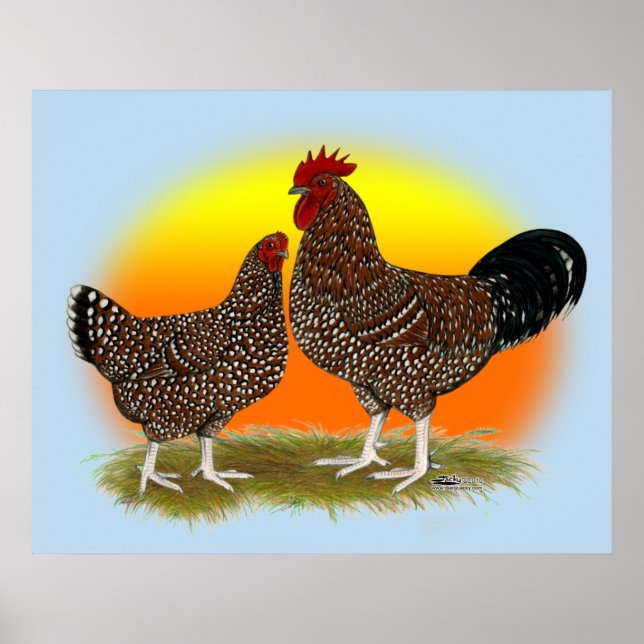 Pôster Sussex Sunrise (Frente)