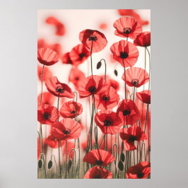Poster Sussurros das Poppies