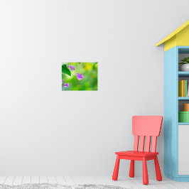 Poster Sussurros de luz da manhã