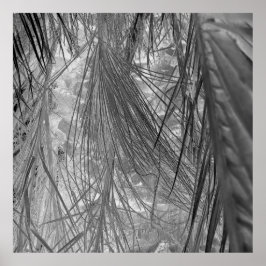 Poster Sussurros Dos Trópicos