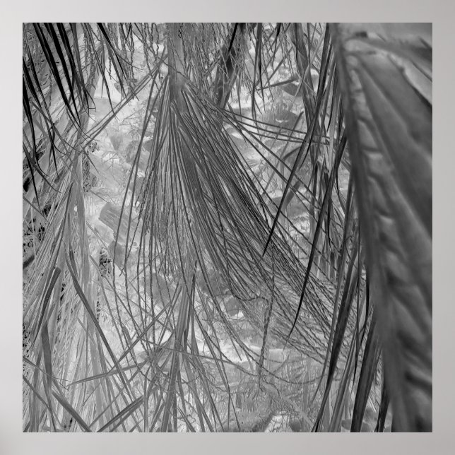 Poster Sussurros Dos Trópicos (Frente)