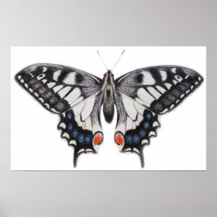 Poster Swallowtail 2012