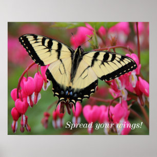 Poster Swallowtail oriental