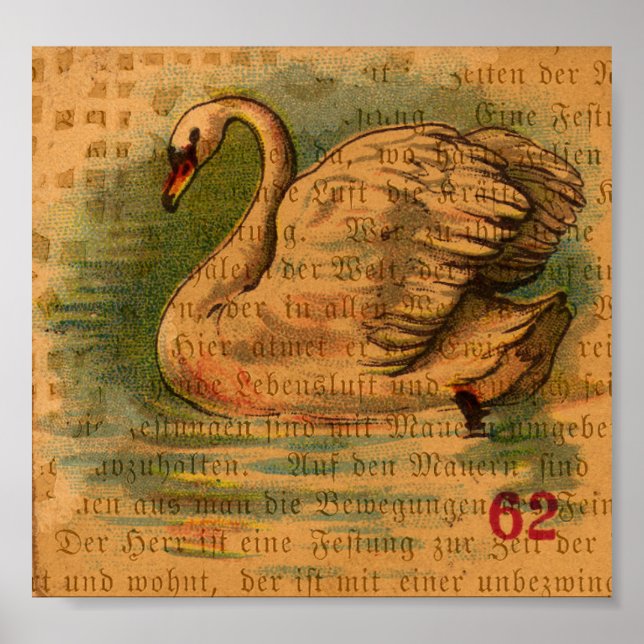 Pôster Swan (Frente)