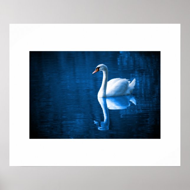 Poster Swan (Frente)