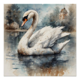 Pôster Swan branco n.o 5 Poster brilhante