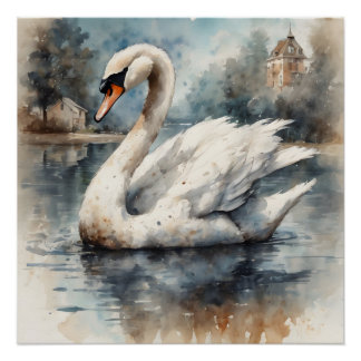 Pôster Swan branco n.o 5 Poster brilhante