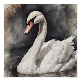 Pôster Swan branco n.o 67 Poster brilhante