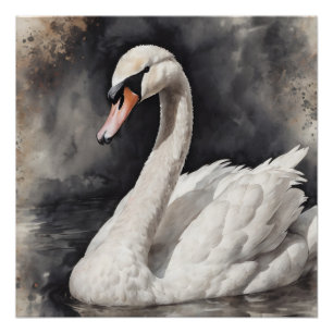 Pôster Swan branco n.o 67 Poster brilhante