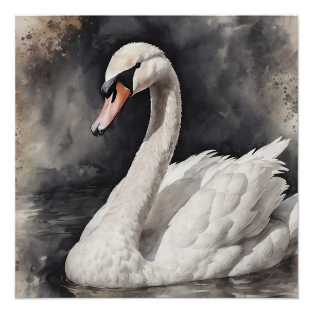 Pôster Swan branco n.o 67 Poster brilhante (Frente)