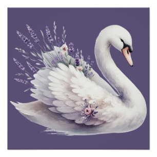 Pôster Swan de Aquarela com Florais de Lavanda