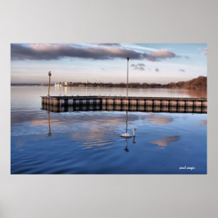 Pôster Swan Madison Wisconsin
